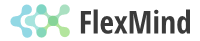 FlexMind. Strony WWW, Sklepy internetowe